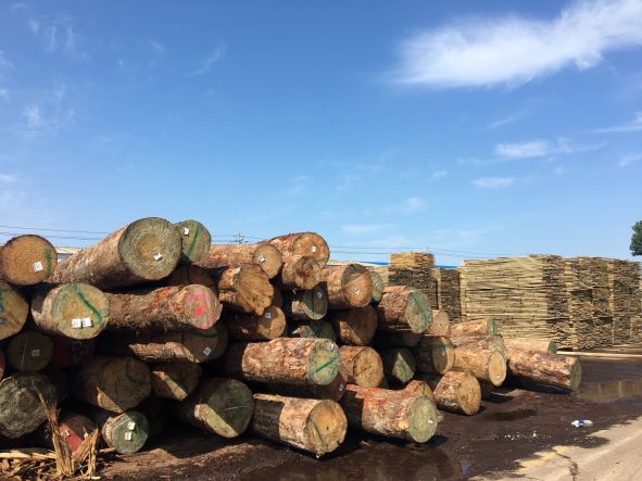 wood